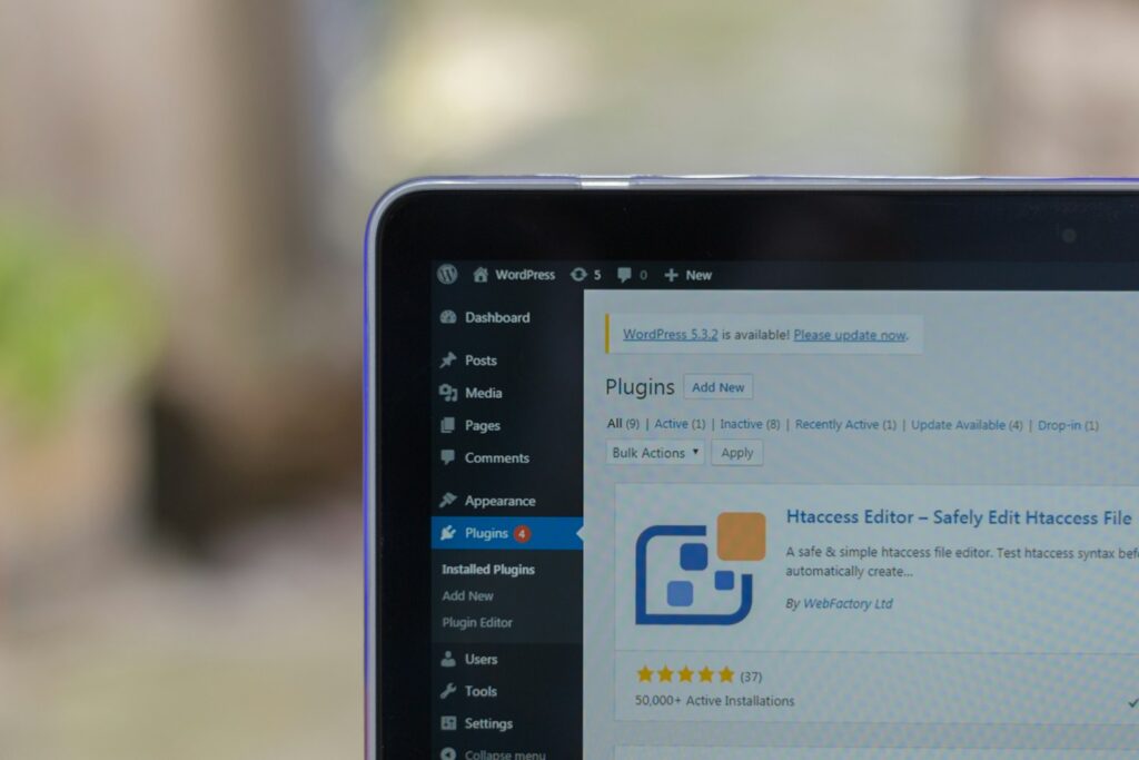 Wordpress optimiser site